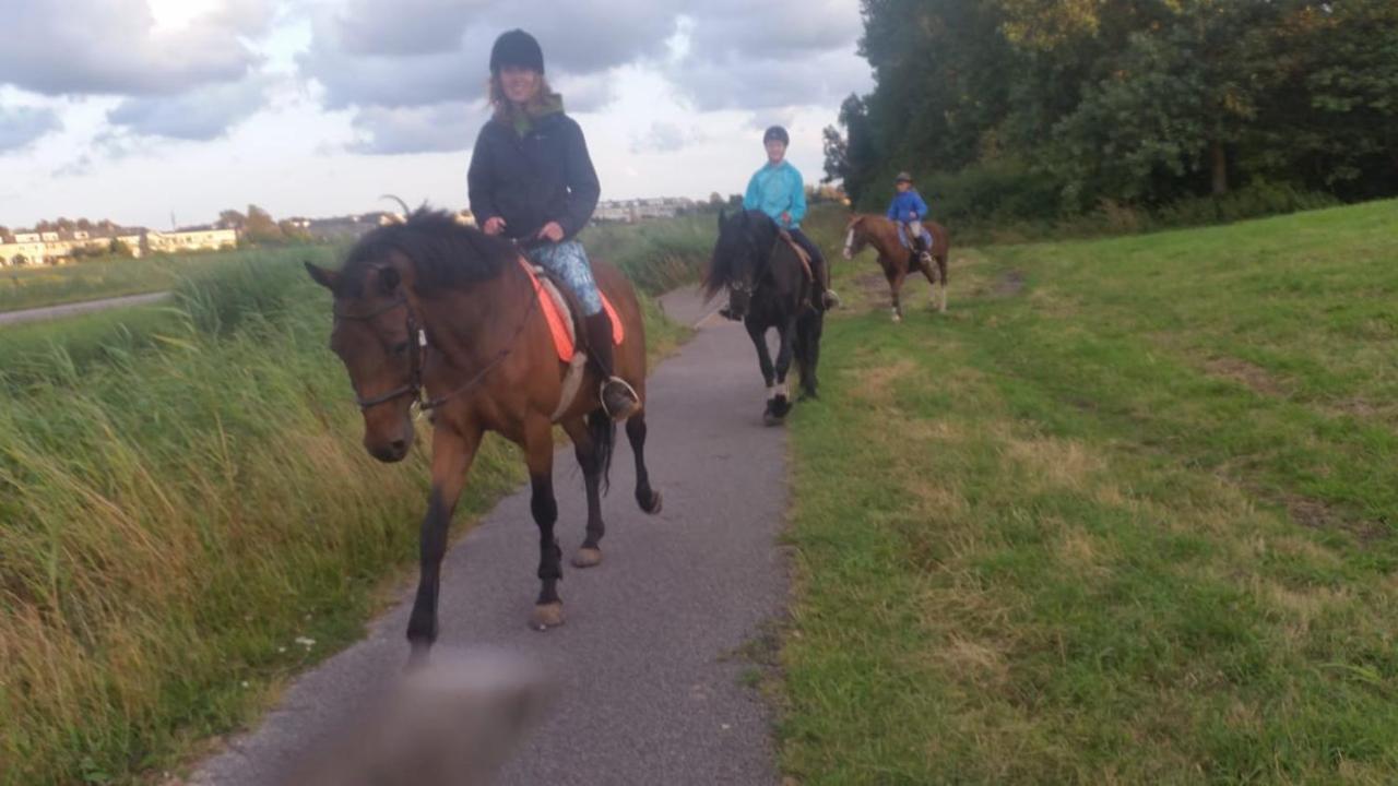 B&B Boerderij Rust, In Pipowagens! Den Helder Eksteriør billede