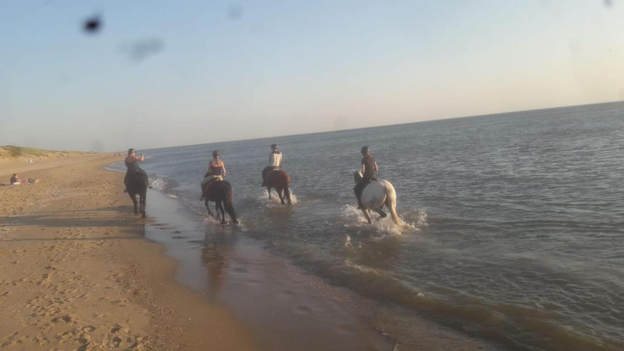 B&B Boerderij Rust, In Pipowagens! Den Helder Eksteriør billede