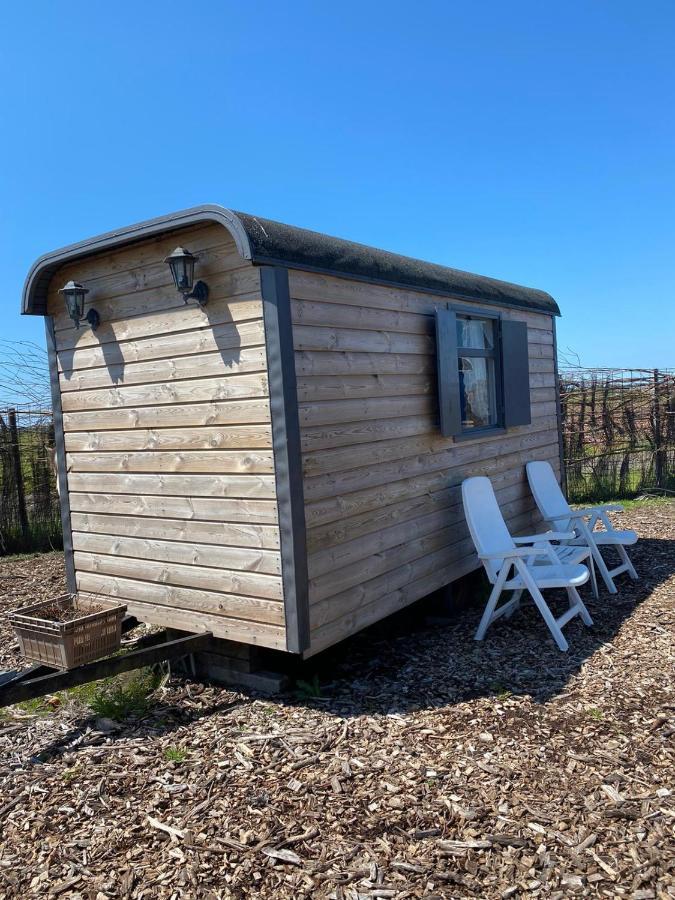 B&B Boerderij Rust, In Pipowagens! Den Helder Eksteriør billede